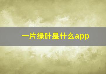 一片绿叶是什么app