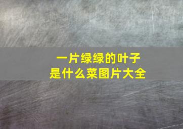 一片绿绿的叶子是什么菜图片大全