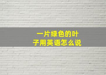 一片绿色的叶子用英语怎么说