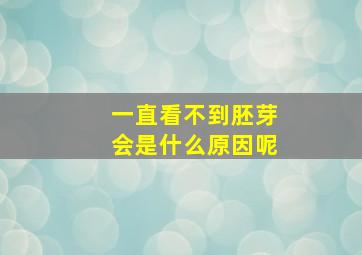 一直看不到胚芽会是什么原因呢