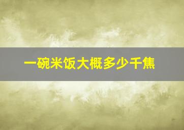 一碗米饭大概多少千焦