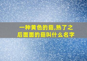 一种黄色的菇,熟了之后面面的菇叫什么名字