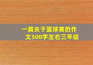 一篇关于篮球赛的作文500字左右三年级