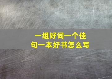 一组好词一个佳句一本好书怎么写