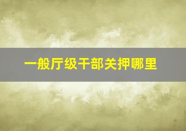 一般厅级干部关押哪里