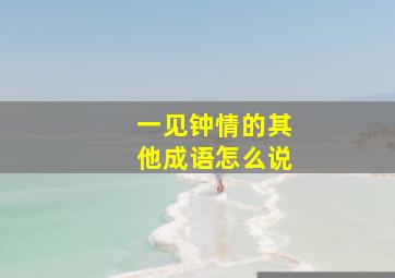 一见钟情的其他成语怎么说