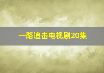 一路追击电视剧20集