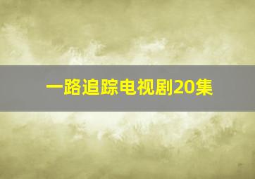 一路追踪电视剧20集