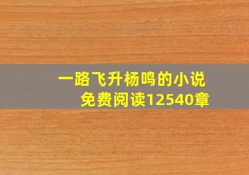 一路飞升杨鸣的小说免费阅读12540章