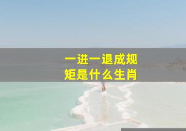 一进一退成规矩是什么生肖