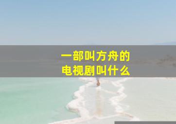 一部叫方舟的电视剧叫什么