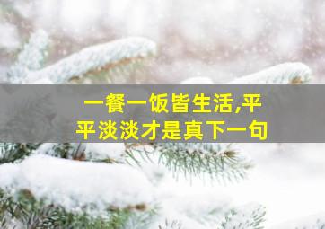 一餐一饭皆生活,平平淡淡才是真下一句