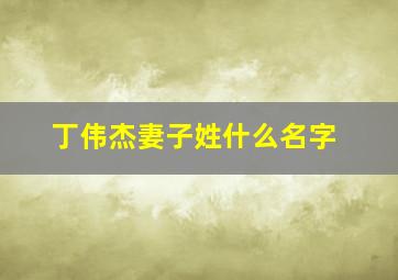 丁伟杰妻子姓什么名字