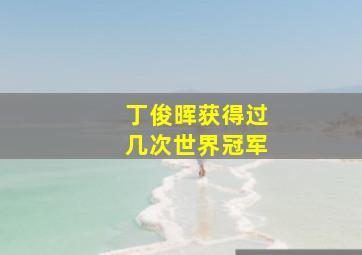 丁俊晖获得过几次世界冠军