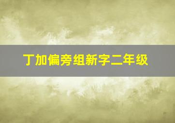 丁加偏旁组新字二年级