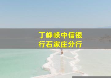 丁峥嵘中信银行石家庄分行