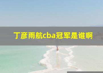 丁彦雨航cba冠军是谁啊