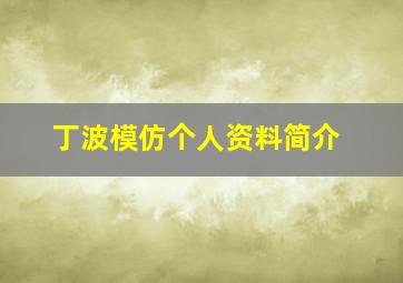 丁波模仿个人资料简介