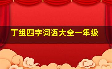 丁组四字词语大全一年级