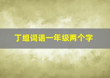 丁组词语一年级两个字