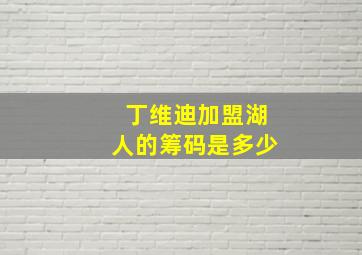 丁维迪加盟湖人的筹码是多少