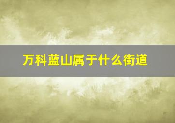 万科蓝山属于什么街道