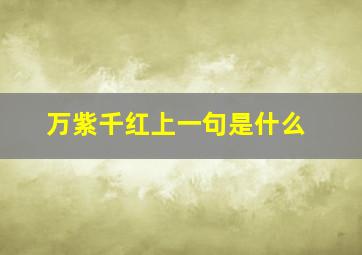 万紫千红上一句是什么