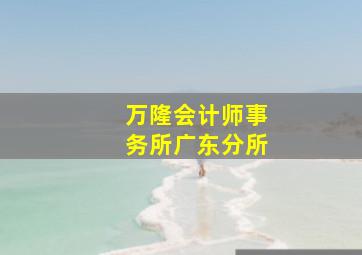 万隆会计师事务所广东分所