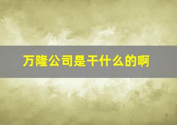 万隆公司是干什么的啊