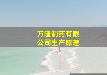 万隆制药有限公司生产原理