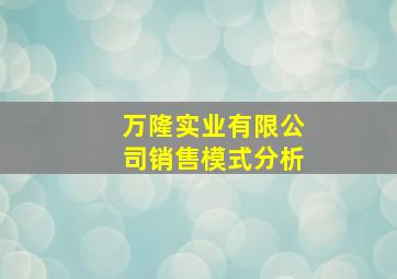 万隆实业有限公司销售模式分析