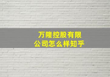 万隆控股有限公司怎么样知乎