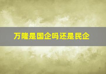 万隆是国企吗还是民企