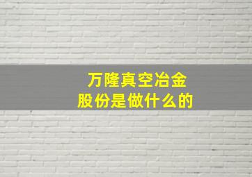 万隆真空冶金股份是做什么的