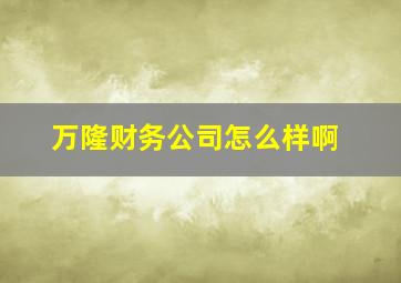 万隆财务公司怎么样啊