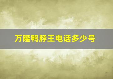 万隆鸭脖王电话多少号