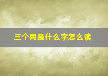 三个两是什么字怎么读