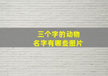 三个字的动物名字有哪些图片