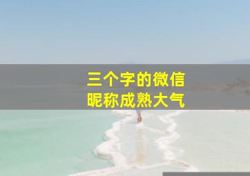 三个字的微信昵称成熟大气