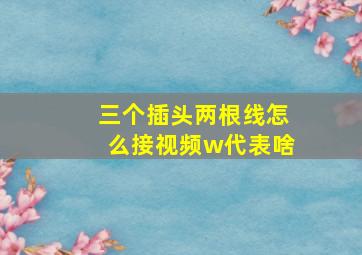 三个插头两根线怎么接视频w代表啥