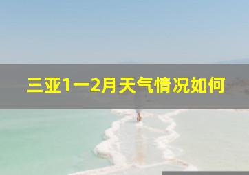 三亚1一2月天气情况如何