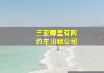 三亚哪里有网约车出租公司