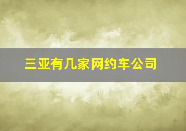 三亚有几家网约车公司