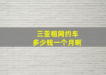 三亚租网约车多少钱一个月啊