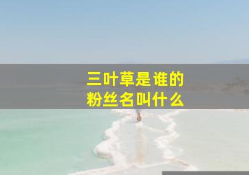 三叶草是谁的粉丝名叫什么