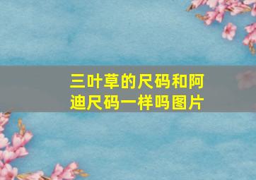 三叶草的尺码和阿迪尺码一样吗图片