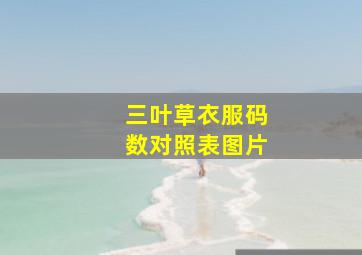 三叶草衣服码数对照表图片