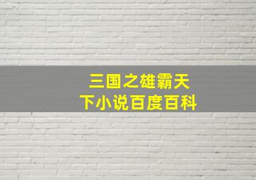 三国之雄霸天下小说百度百科