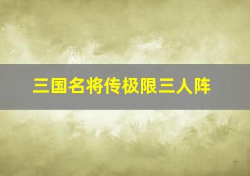 三国名将传极限三人阵