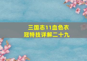 三国志11血色衣冠特技详解二十九